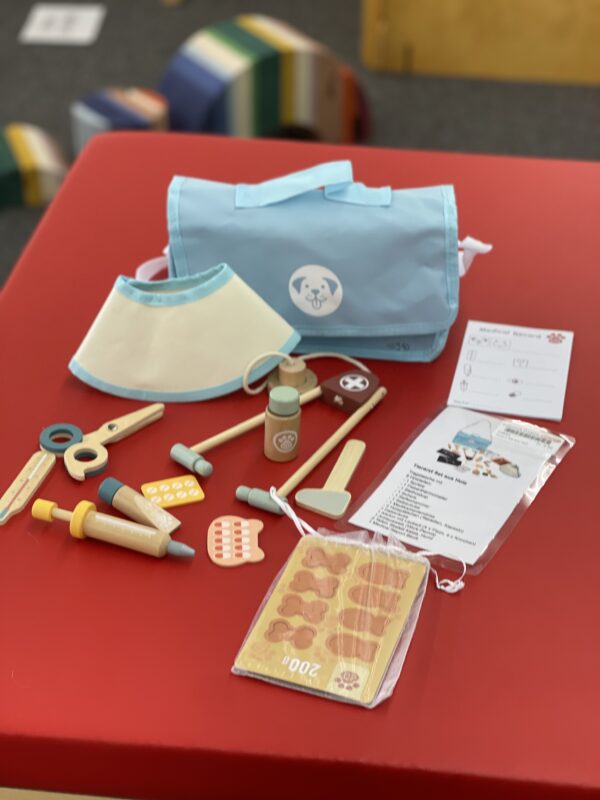 Tierarzt Set aus Holz